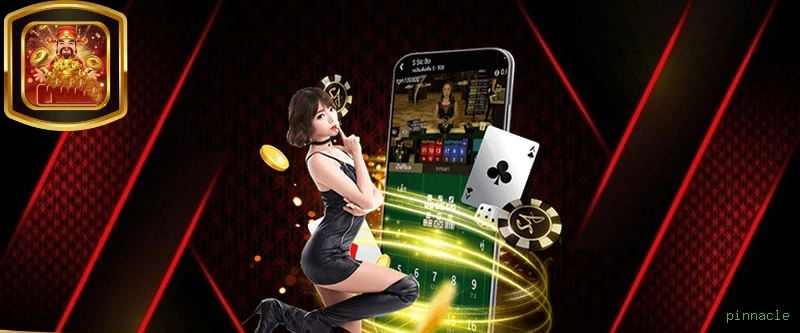Programa VIP pinnacle - benefícios exclusivos